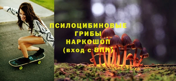 амфетамин Новодвинск